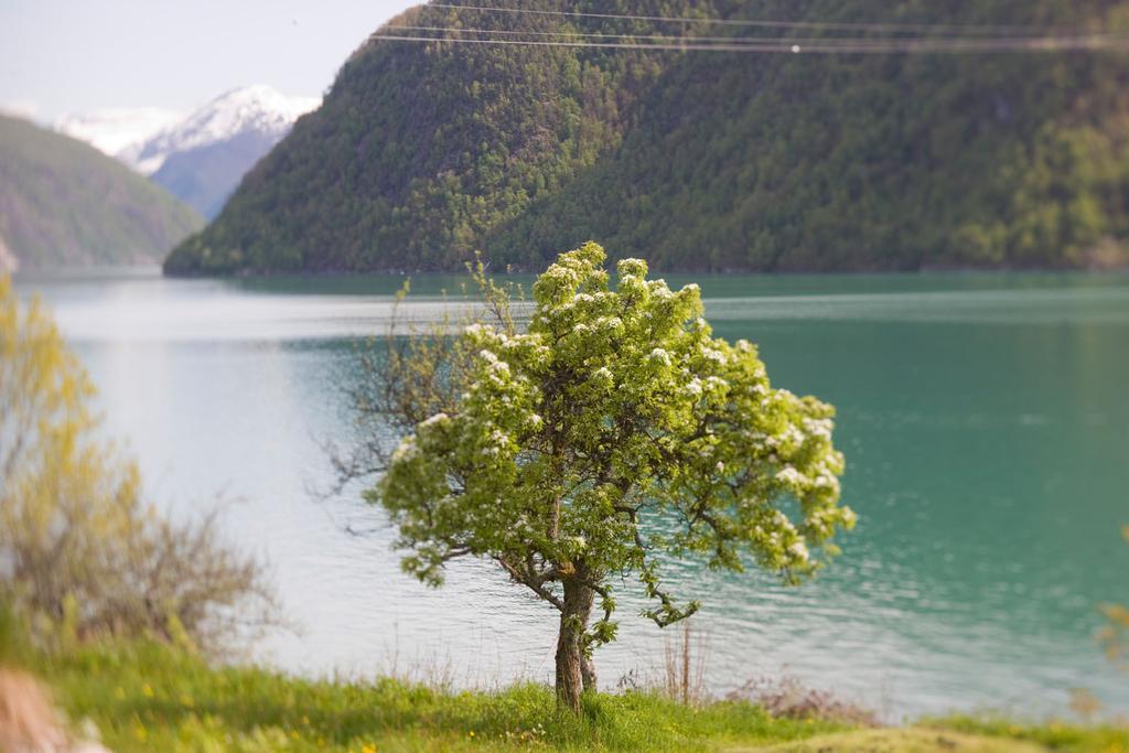 Dragsvik Fjordhotel (Adults Only) Balestrand Exteriör bild